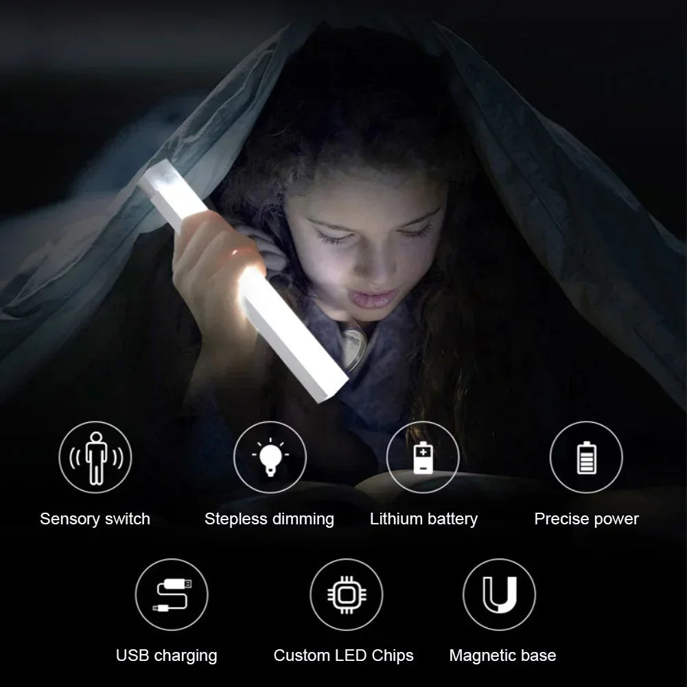 Wireless Induction LED Lamp