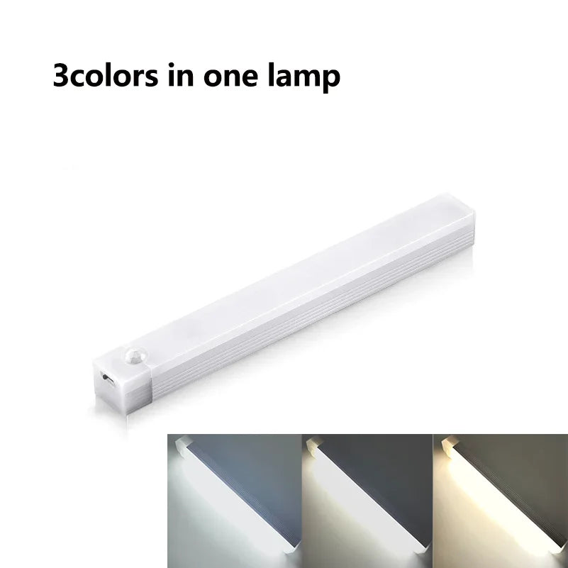 Wireless Induction LED Lamp