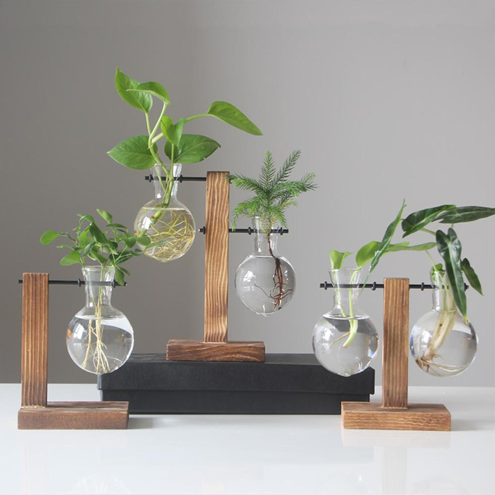 Glass Desktop Planter Bulb Vase with Wooden Stand – Hydroponic Tabletop Decor