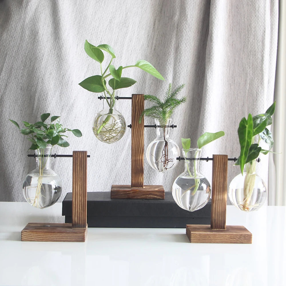 Glass Desktop Planter Bulb Vase with Wooden Stand – Hydroponic Tabletop Decor