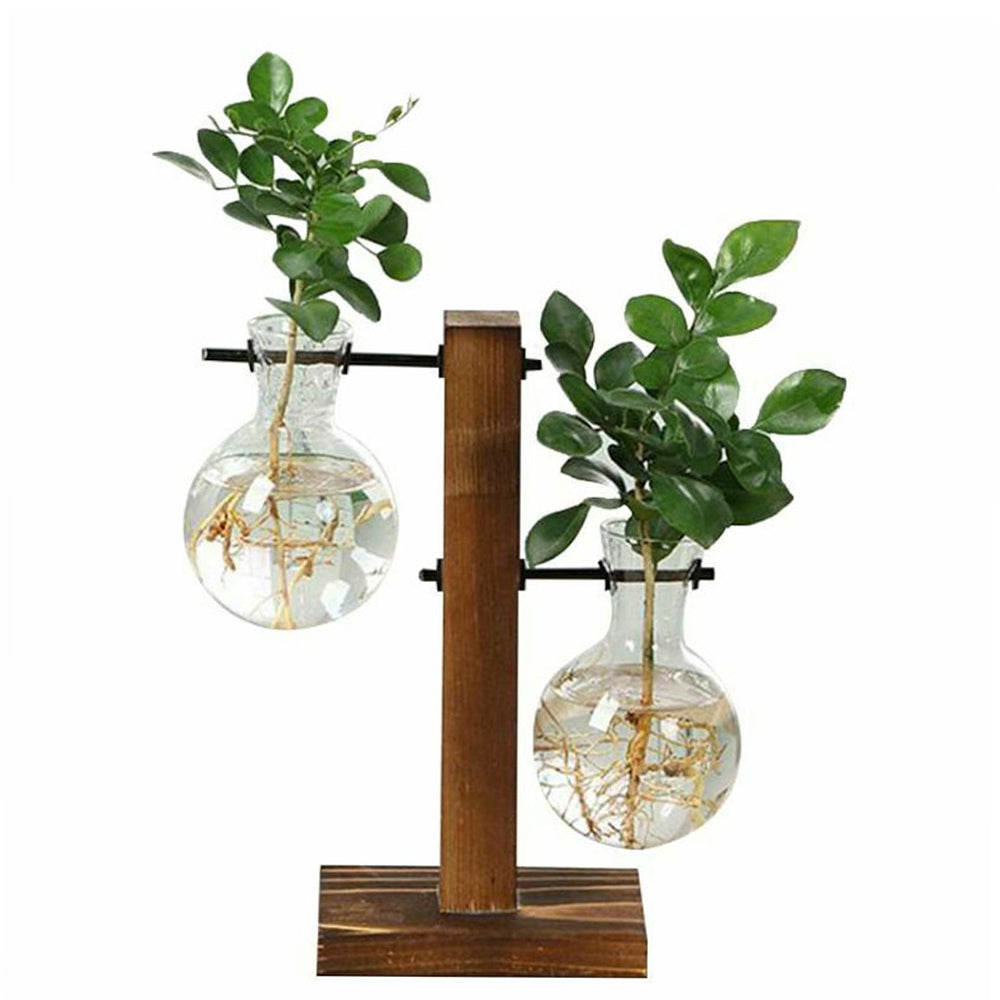 Glass Desktop Planter Bulb Vase with Wooden Stand – Hydroponic Tabletop Decor