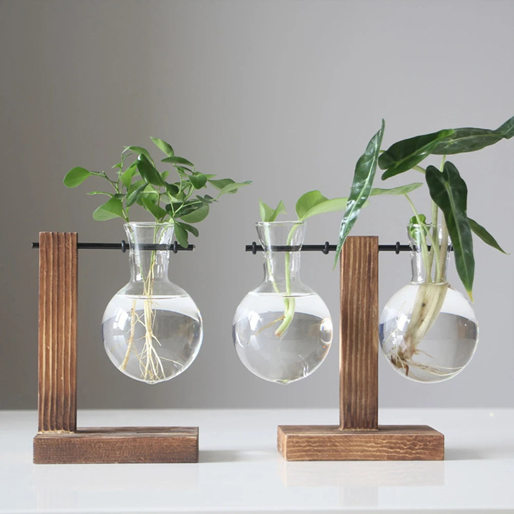 Glass Desktop Planter Bulb Vase with Wooden Stand – Hydroponic Tabletop Decor