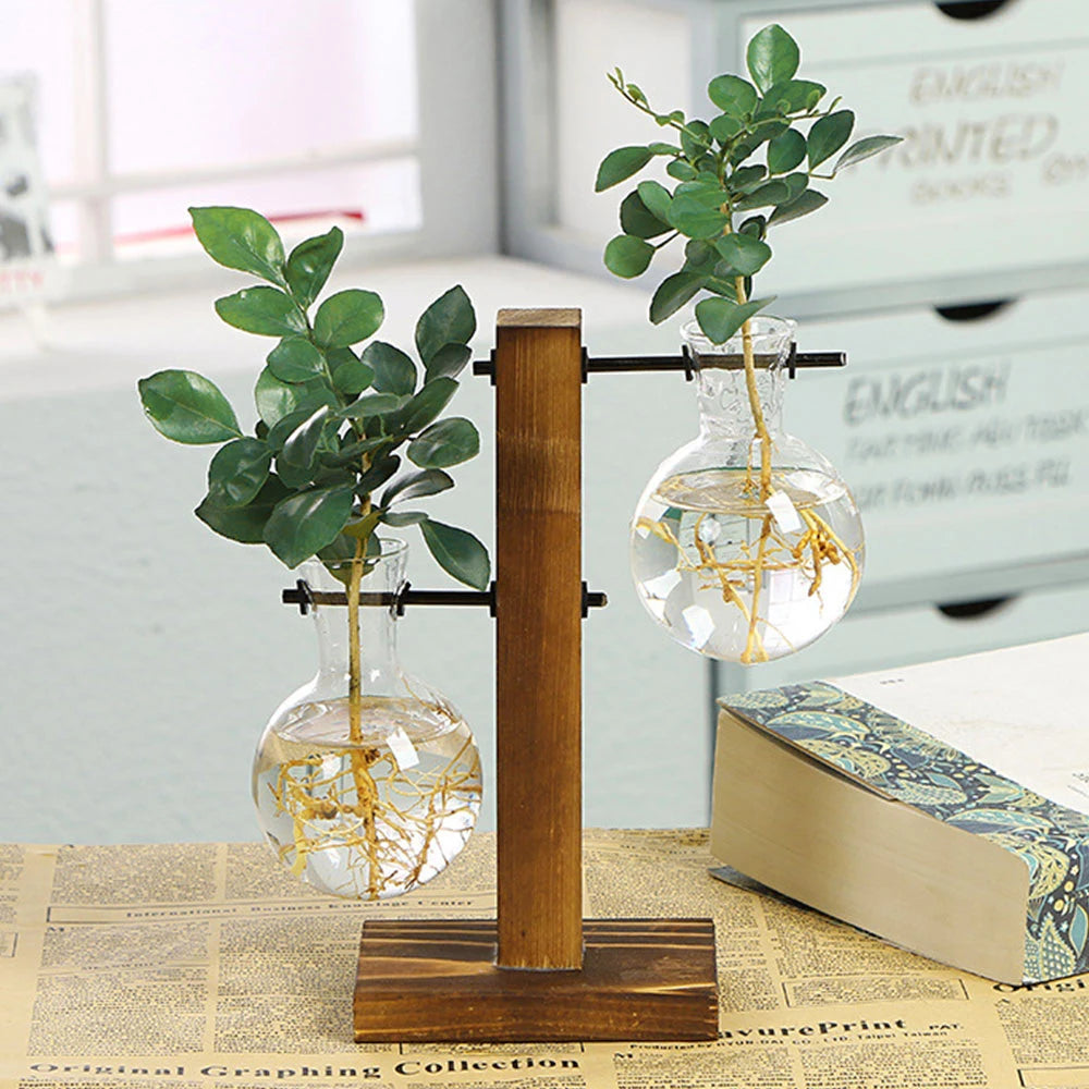 Glass Desktop Planter Bulb Vase with Wooden Stand – Hydroponic Tabletop Decor
