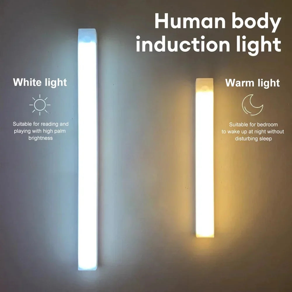 Wireless Induction LED Lamp