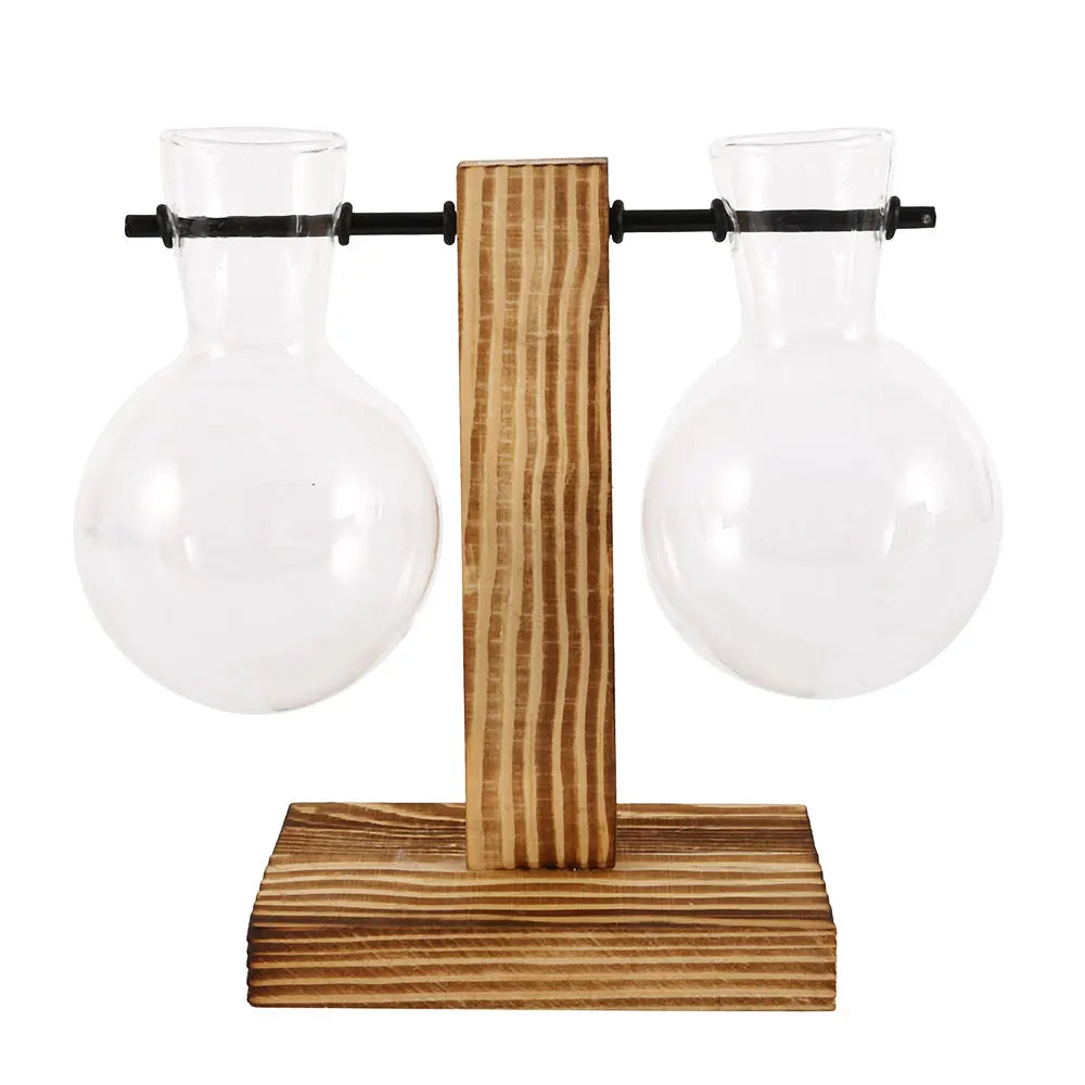 Glass Desktop Planter Bulb Vase with Wooden Stand – Hydroponic Tabletop Decor