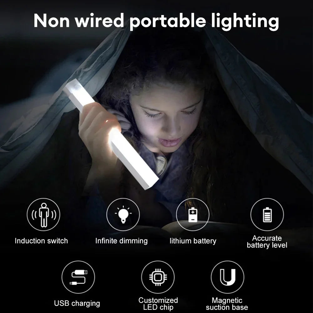 Wireless Induction LED Lamp