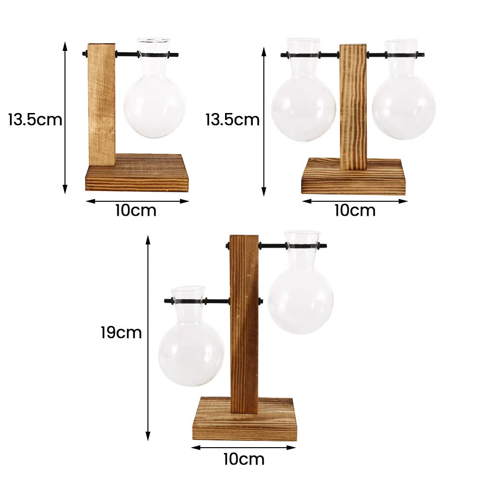 Glass Desktop Planter Bulb Vase with Wooden Stand – Hydroponic Tabletop Decor