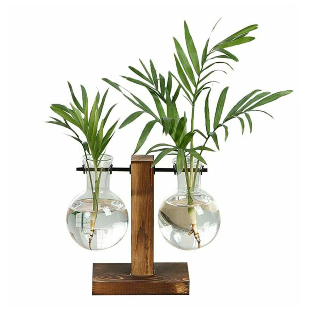 Glass Desktop Planter Bulb Vase with Wooden Stand – Hydroponic Tabletop Decor