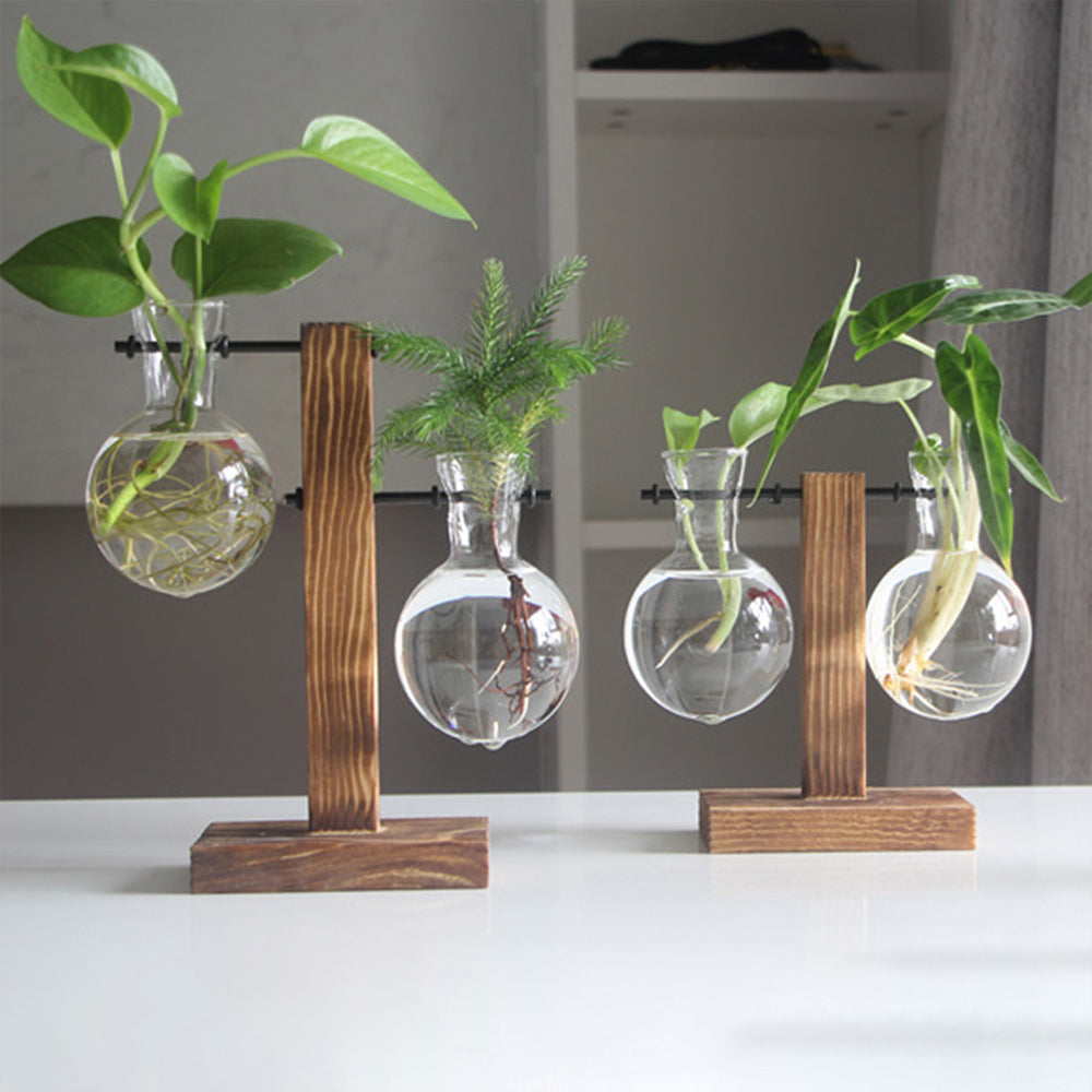 Glass Desktop Planter Bulb Vase with Wooden Stand – Hydroponic Tabletop Decor