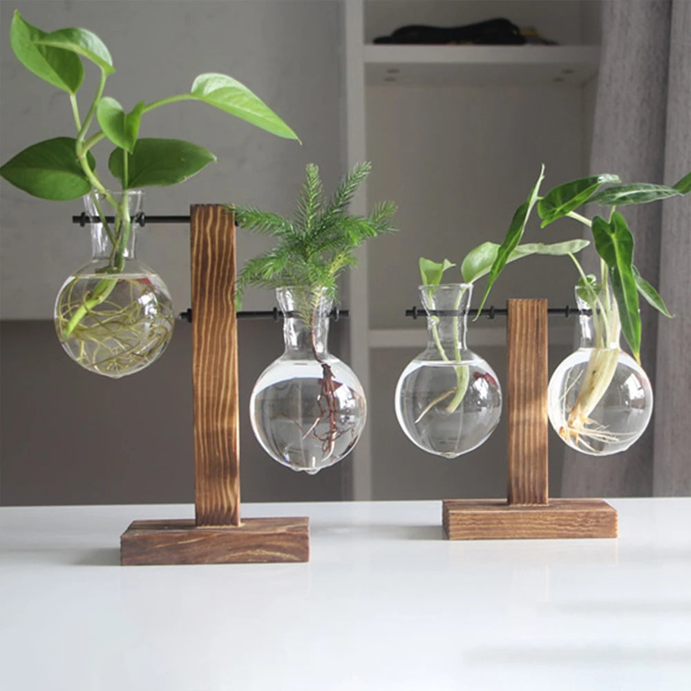 Glass Desktop Planter Bulb Vase with Wooden Stand – Hydroponic Tabletop Decor
